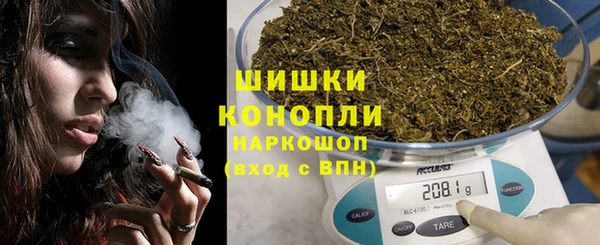 трава Белокуриха