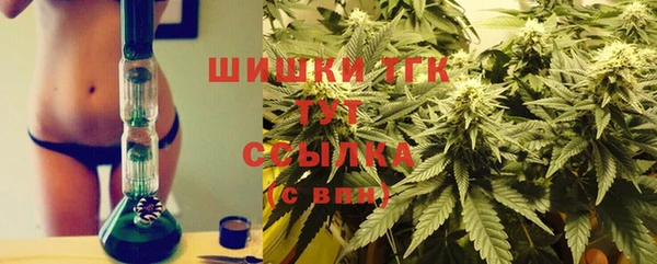 трава Белокуриха