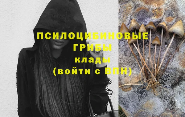 2c-b Богданович