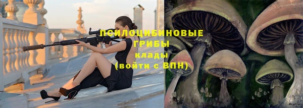 крисы Богородск