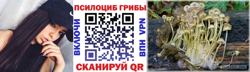 Галлюциногенные грибы MAGIC MUSHROOMS  наркота  блэк спрут как войти  Барабинск 